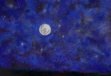 Altissimu, onnipotente, bon Signore. Il Cantico delle Creature e il fiore della mistica francescana. Omaggio a san Francesco d’Assisi | 1226 – 2026. Fino al 26 maggio